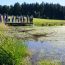 Guldenen, Maur