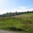 Guldenen, Maur