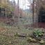 Korridor Wolfsgrueb, Herrliberg