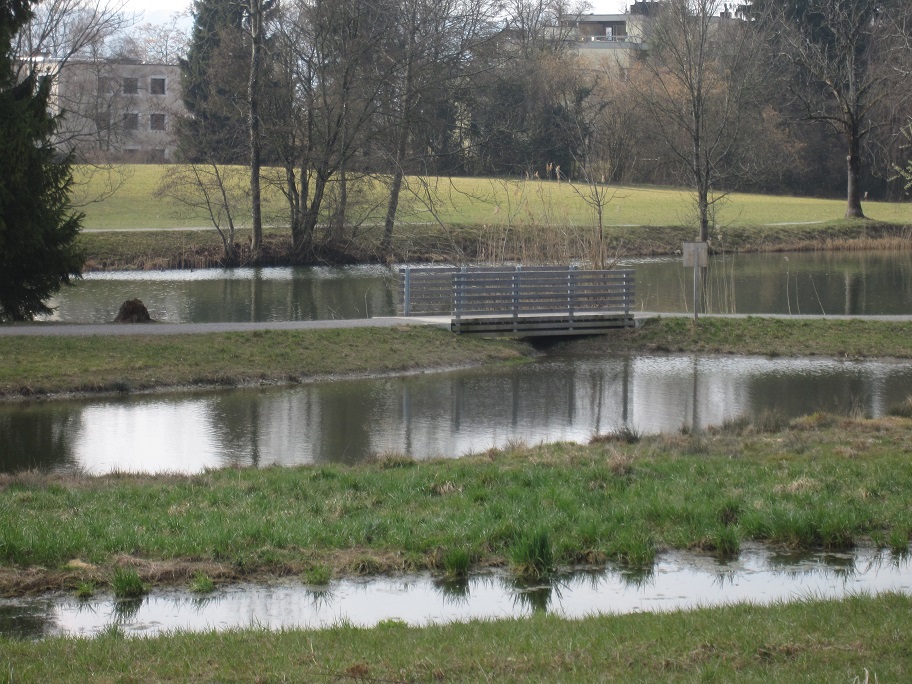 Schübelweiher