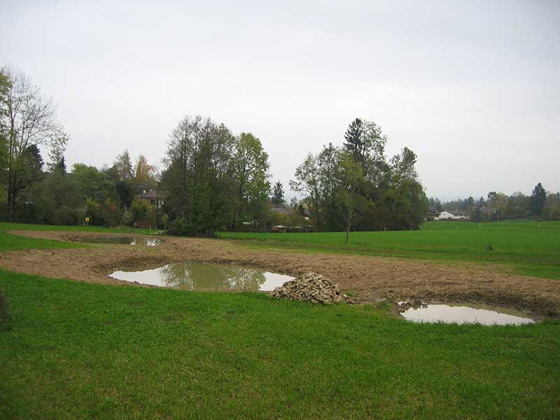 Weiher und Blumenwiesen Auee (Egg)