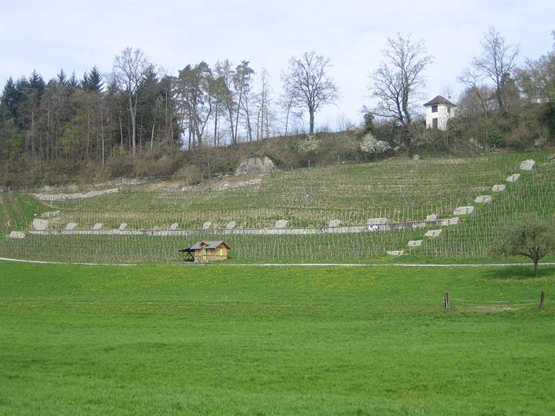Gamsten, Hombrechtikon