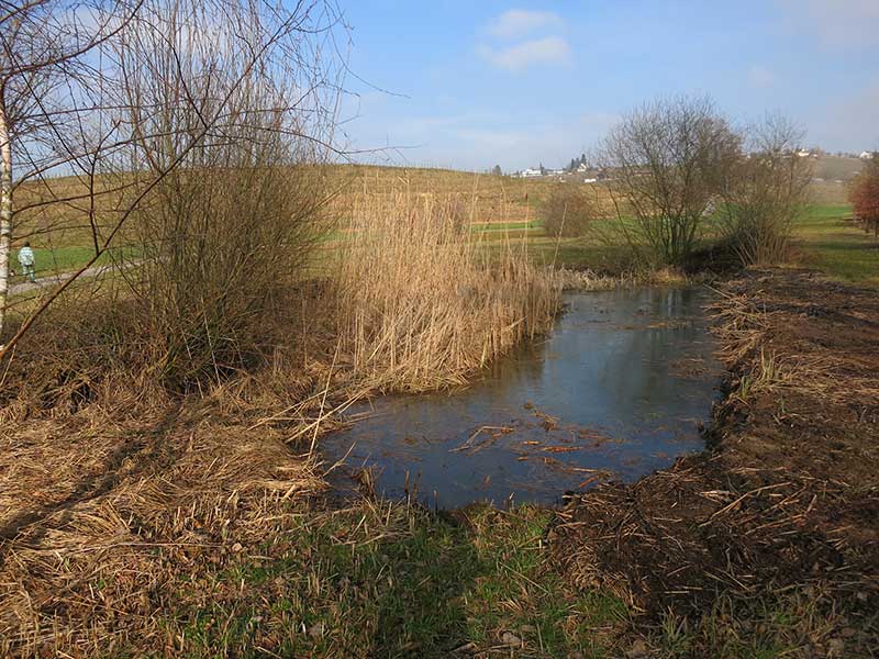 Schlatt (Hombrechtikon, Feldbach)