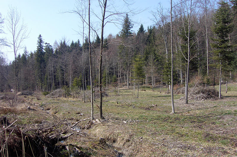 Hinter Guldenen, Herrliberg