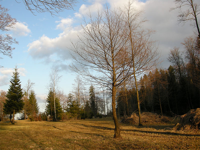 Hinter Guldenen, Herrliberg