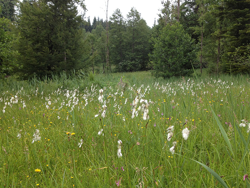 Hinter Guldenen, Herrliberg