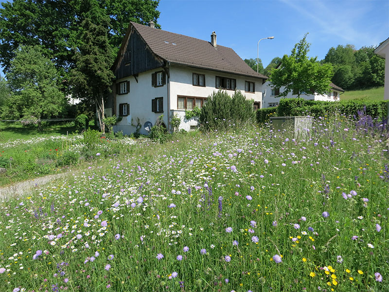 Öffentliche Grünflächen