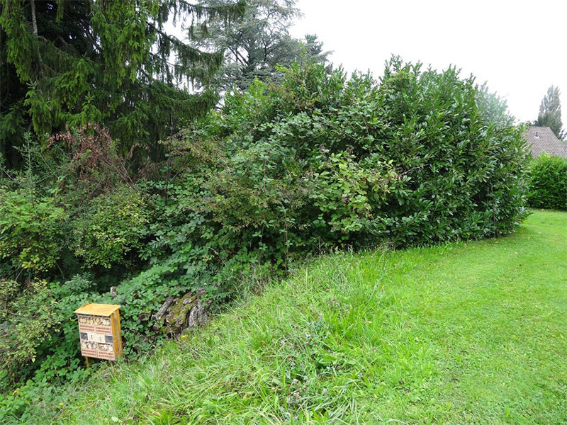 Bahia Park und Teienwiese Meilen