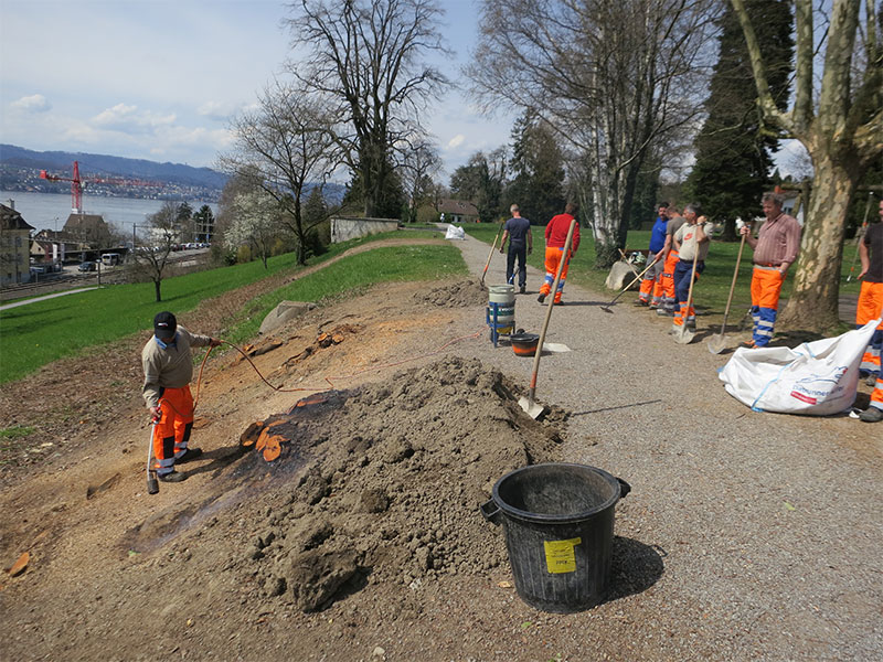 Bahia Park und Teienwiese Meilen