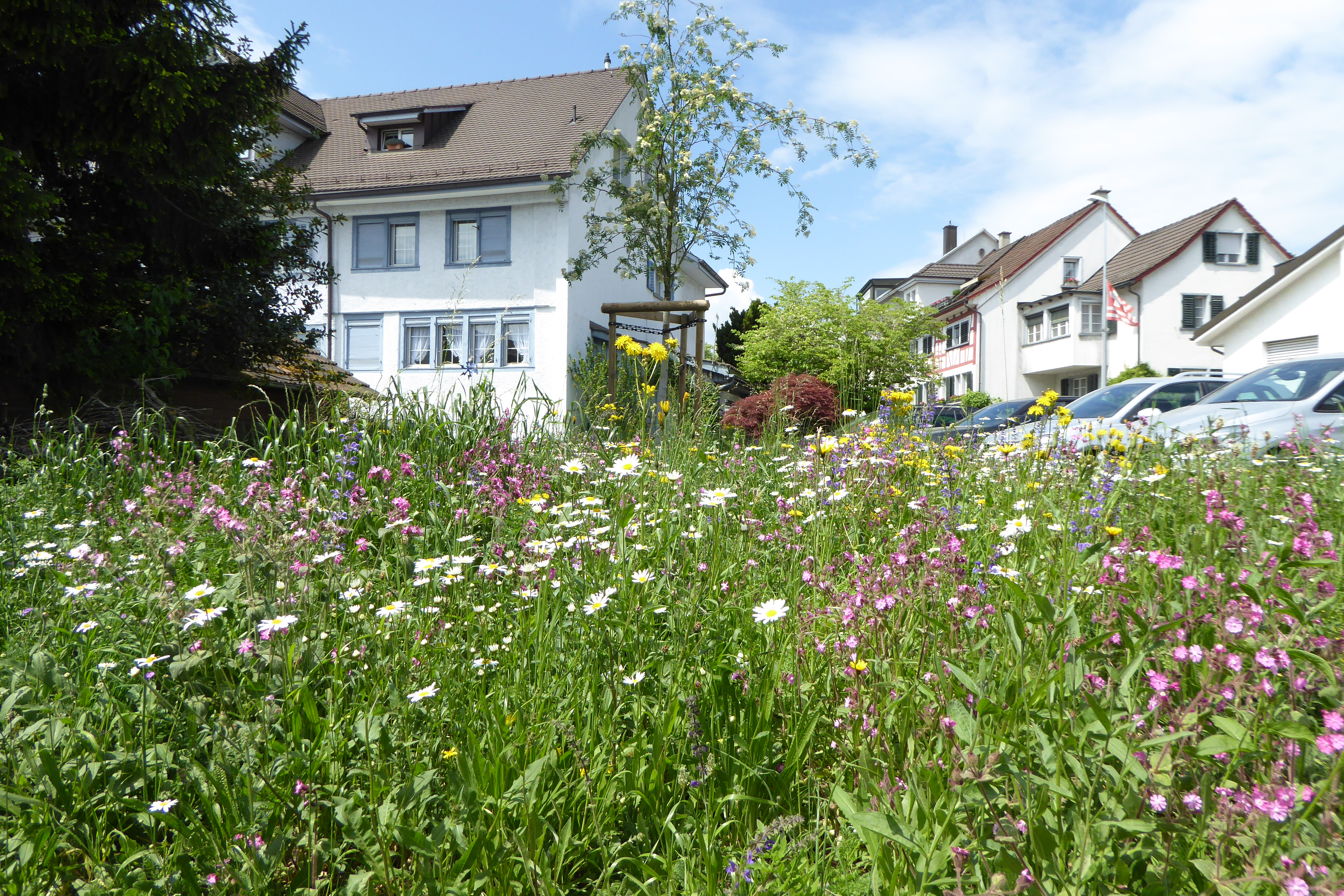 Dorfstrasse