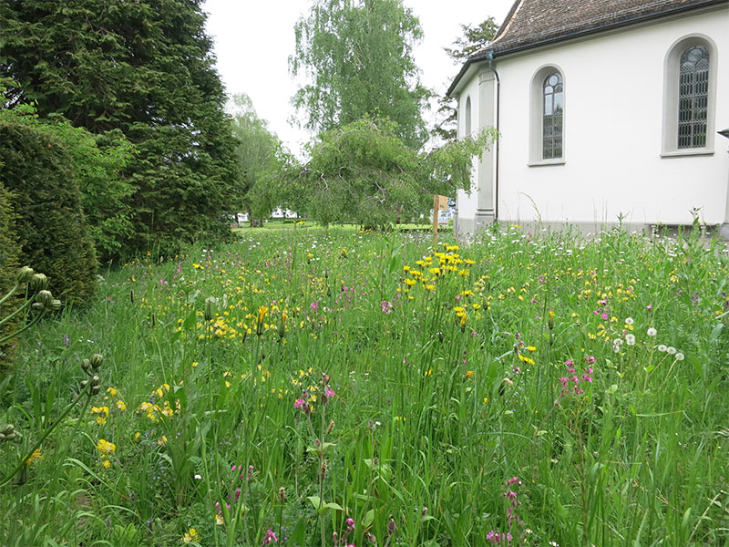Kirche / Friedhof Stäfa