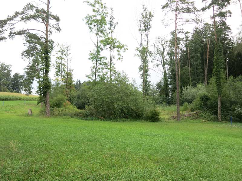 Chnolli, Uetikon