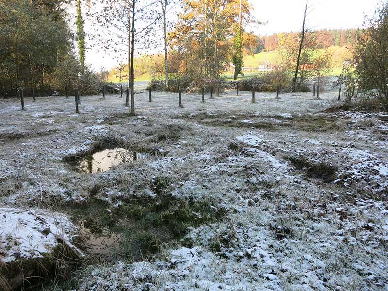 Chnolli, Uetikon