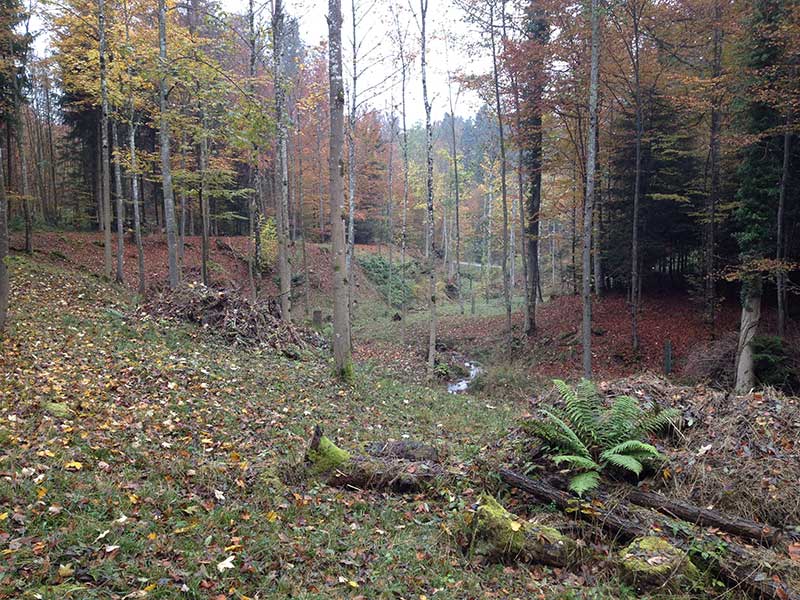 Korridor Wolfsgrueb, Herrliberg