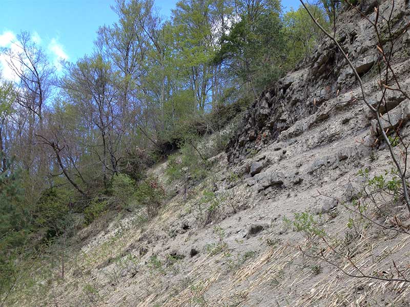 Wulp, Küsnacht