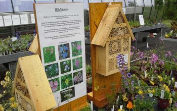Naturgarten im Fachhandel