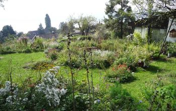 Wettbewerb Naturgarten