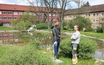 Beratung Naturgarten