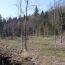 Hinter Guldenen, Herrliberg